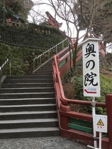 78553629-BAC1-49FB-A603-D5839B94A7EA.jpeg