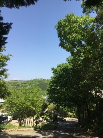 05FBF110-6C41-41CB-B4A0-70A520C7113A.jpeg