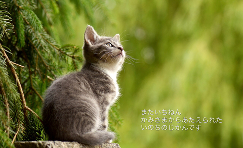 43F621F5-6A93-47C4-B404-2FE1454CDC11.jpeg