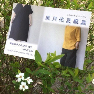 C732D913-92BF-428C-8676-53277D996AEB.jpeg