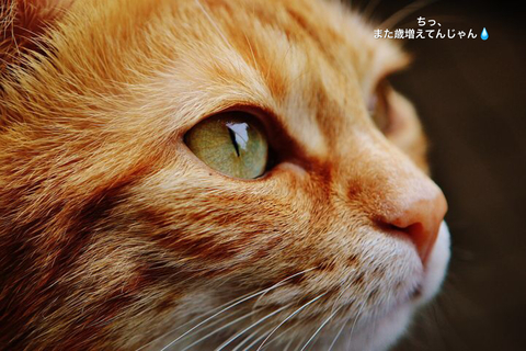 E5FA886E-A65E-4CA5-8B71-9E7B7B209361.jpeg